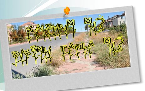 Kaldırım mı, ot tarlası mı?