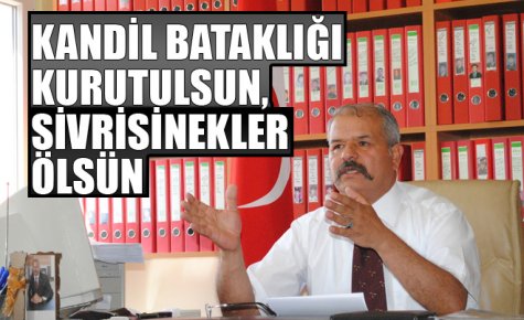 KANDİL BATAKLIĞI KURUTULSUN, SİVRİSİNEKLER ÖLSÜN