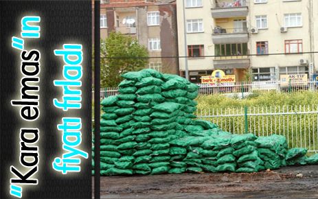 Kara elmasın fiyatı artıyor