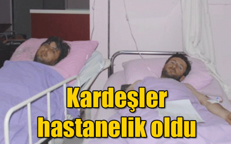 Kardeşler hastanelik oldu 