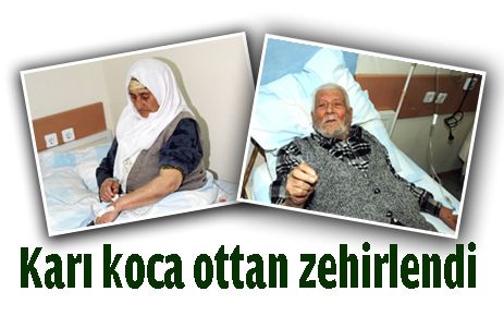 Karı koca ottan zehirlendi