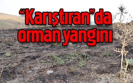 ?Karıştıran?da Orman Yangını
