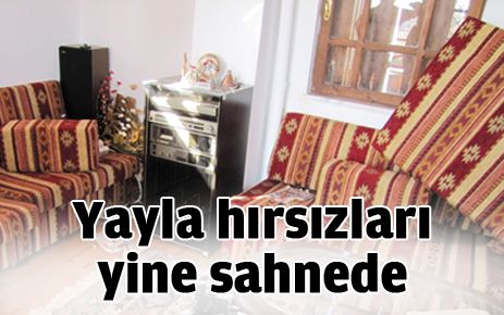 Kenanbeyobası?nda yayla evlerini soydular 
