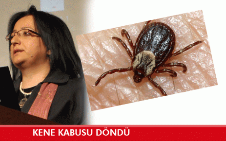 Kene kabusu döndü