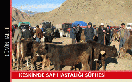 Keskin`de Şap Hastalığı şüphesi