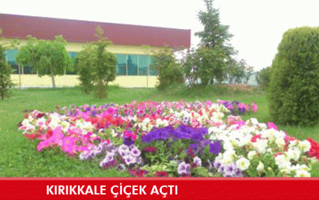 Kırıkkale Çiçek Açtı 