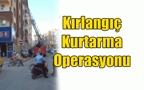 Kırlangıç Kurtarma Operasyonu 
