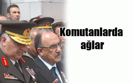 Komutanlarda ağlar