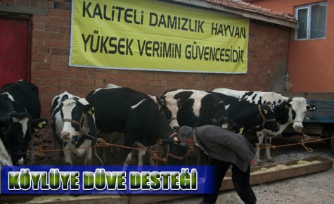 KÖYLÜYE DÜVE DESTEĞİ