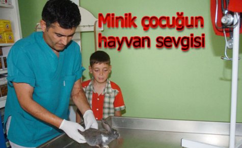 KÜÇÜK ÇOCUĞUN HAYVAN SEVGİSİ 