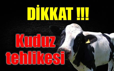 Kuduz Tehlikesi