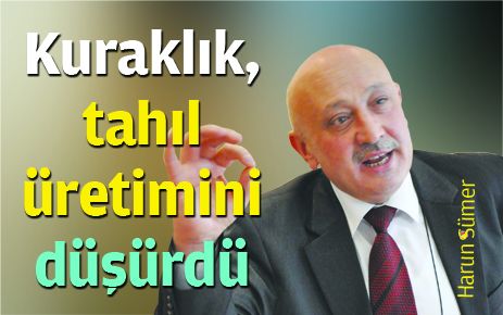 Kuraklık, Tahıl Üretimini Düşürdü