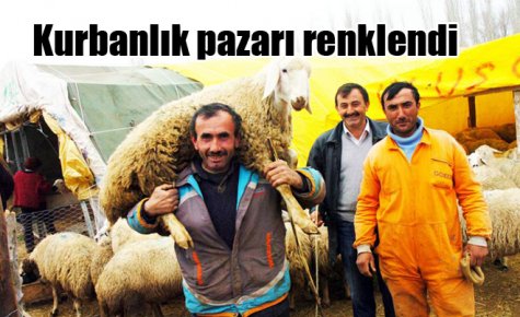 Kurbanlık pazarı renklendi
