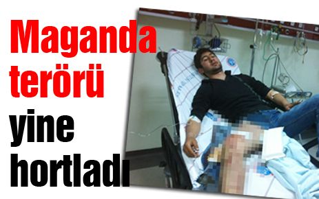 Maganda terörü yine hortladı