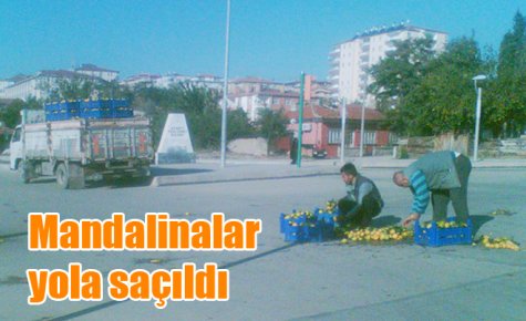 Mandalinalar yola saçıldı 