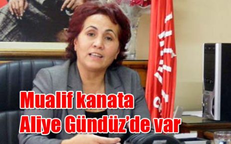Mualif kanata Gündüz`de var 