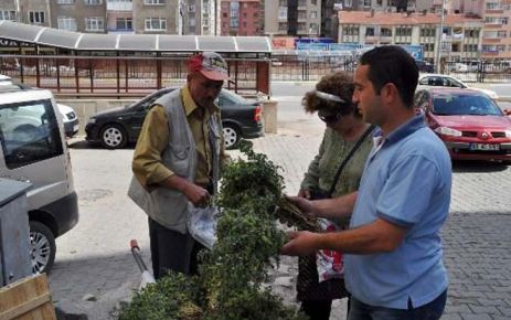 Nohut seyyar tezgâhında