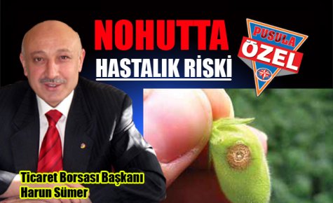 NOHUTTA HASTALIK RİSKİ