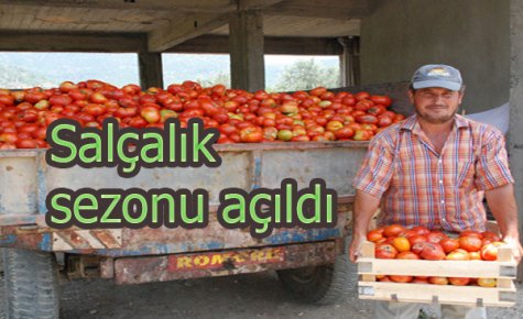 ORGANİK SALÇA SEZONU AÇILIYOR