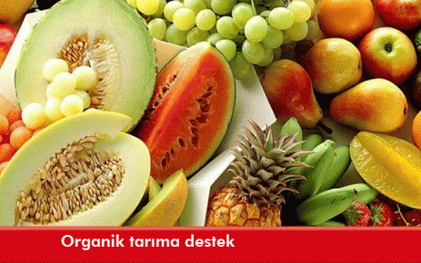 Organik tarıma destek 