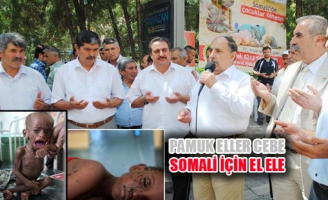 PAMUK ELLER CEBE, SOMALİ İÇİN EL ELE