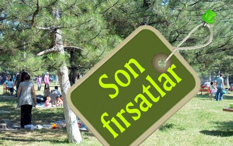 Piknik alanlarına akın ettiler