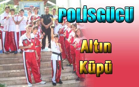 Polisgücü?nün müthiş başarısı