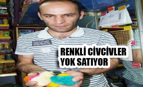 RENKLİ CİVCİVLER İLGİ ODAĞI OLDU
