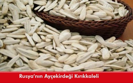 Rusya?nın Ayçekirdeği Kırıkkaleli