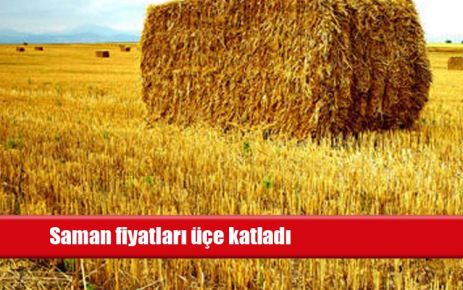 Saman fiyatları üçe katladı 