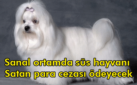 Sanal ortamda süs hayvanı Satan para cezası ödeyecek