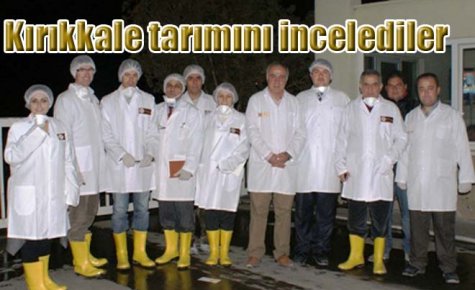 SANCO yetkilileri, Kırıkkale tarımını inceledi