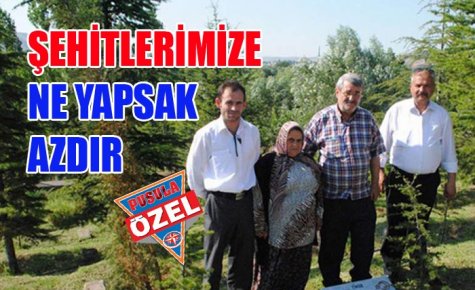 ŞEHİTLERİMİZE NE YAPSAK AZDIR 