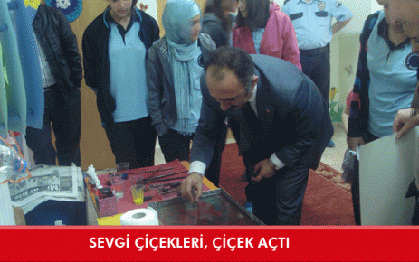 Sevgi çiçekleri, çiçek açtı