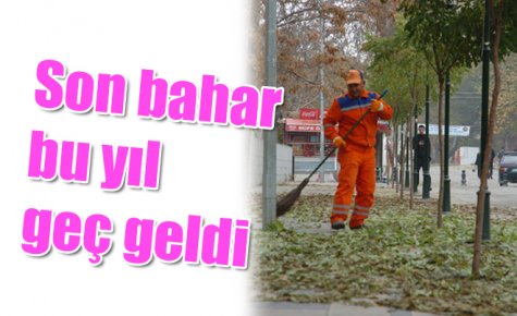 Son bahar bu yıl geç geldi