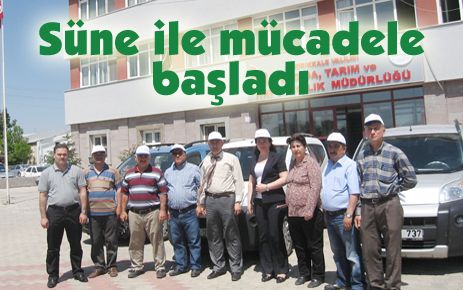 Süne ile mücadele başladı