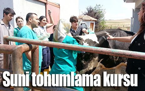 Suni tohumlama kursu verildi 