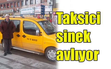 Taksici sinek avlıyor