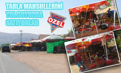 TARLA MAHSULLERİNİ YOL BOYUNDA SATIYORLAR