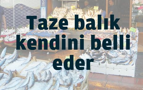 Taze balık kendini belli eder