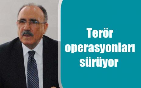 Terör operasyonları sürüyor 