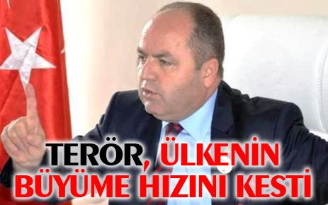 Terör, ülkenin büyüme hızını kesti
