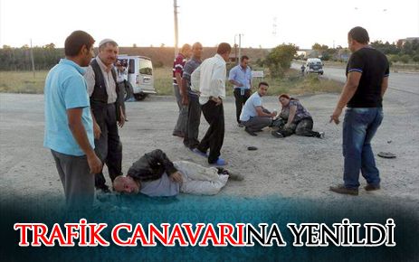 Trafik canavarına yenildi