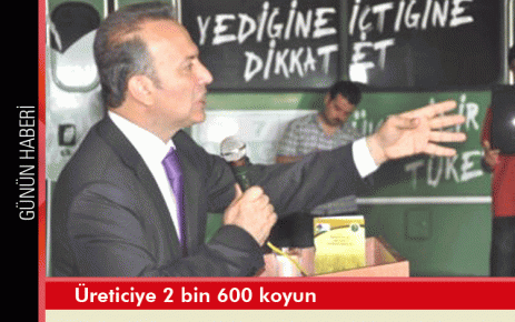 Üreticiye 2 bin 600 koyun