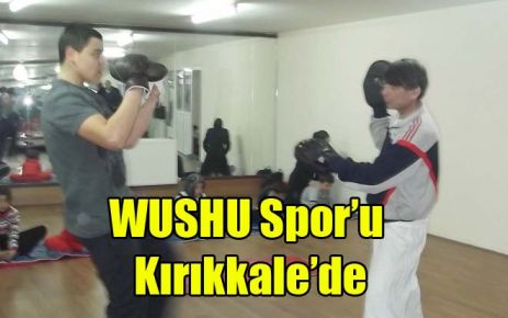 WUSHU Spor?u Kırıkkale?de 