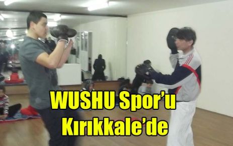 WUSHU Spor?u Kırıkkale?de 