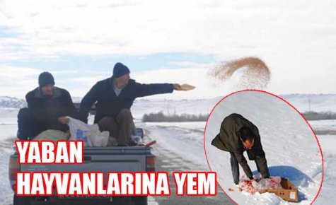 YABAN HAYVANLARINA YEM 