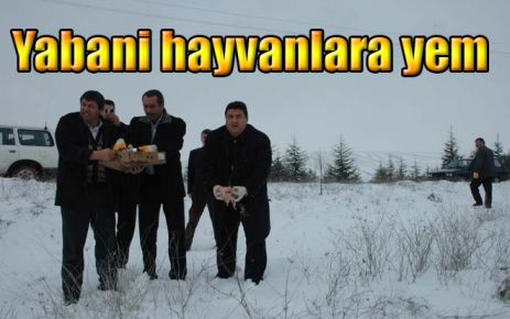 Yabani hayvanlara yem 