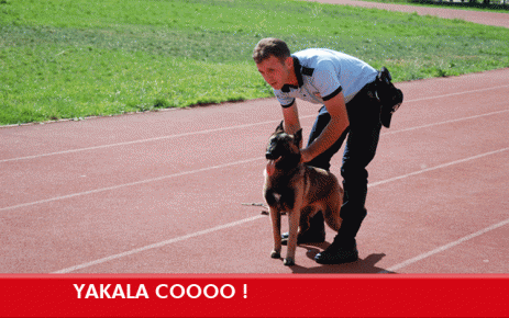 Yakala cooo !