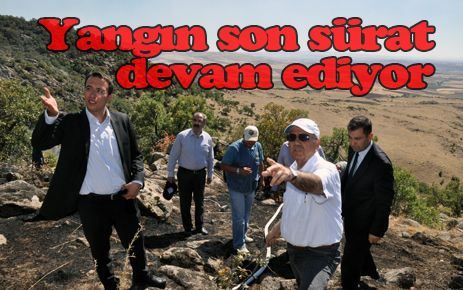 Yangın son sürat devam ediyor 